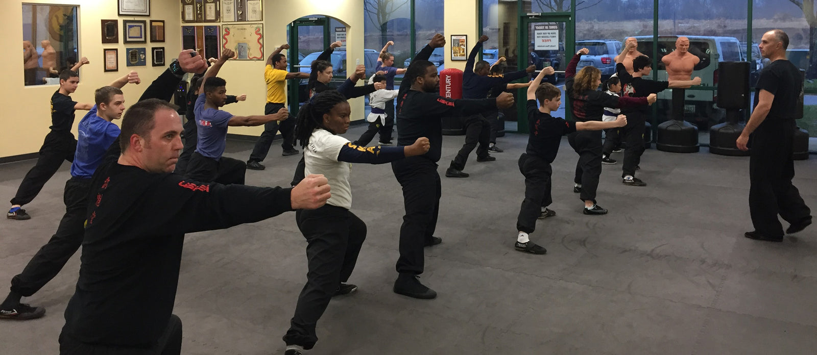 WHY IS KUNG FU SO ADDICTIVE?