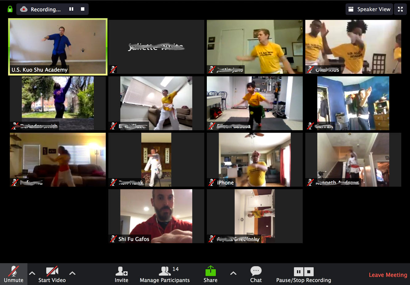 MARTIAL ARTS GOES ONLINE: U.S. KUO SHU ACADEMY OFFERS VIRTUAL LESSONS DURING THE CORONAVIRUS SHUTDOWN